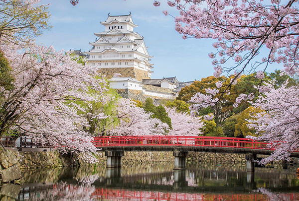 Ngỡ ngàng ngắm lâu đài Osaka hóa xứ thần tiên mùa anh đào nở